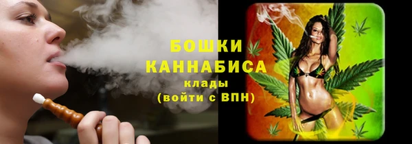 гидропоника Няндома