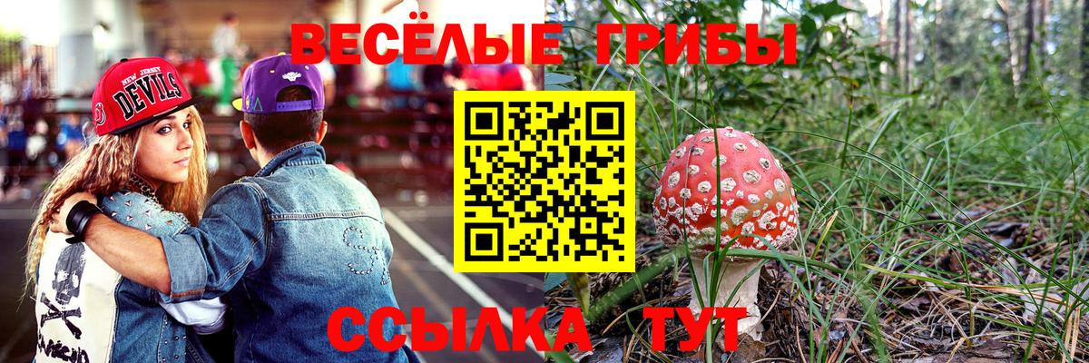 Крымск  Псилоцибиновые грибы Cubensis  Галлюциногенные грибы Psilocybine cubensis  Вход с VPN 