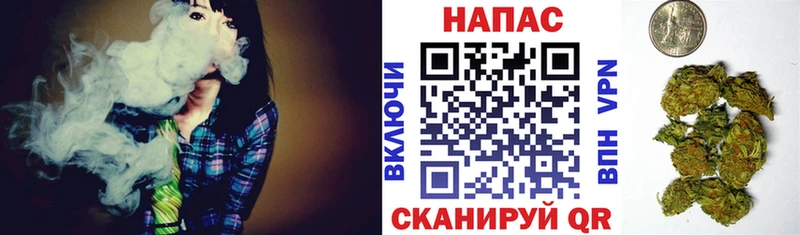 Марихуана сатива  купить  сайты  Крымск 